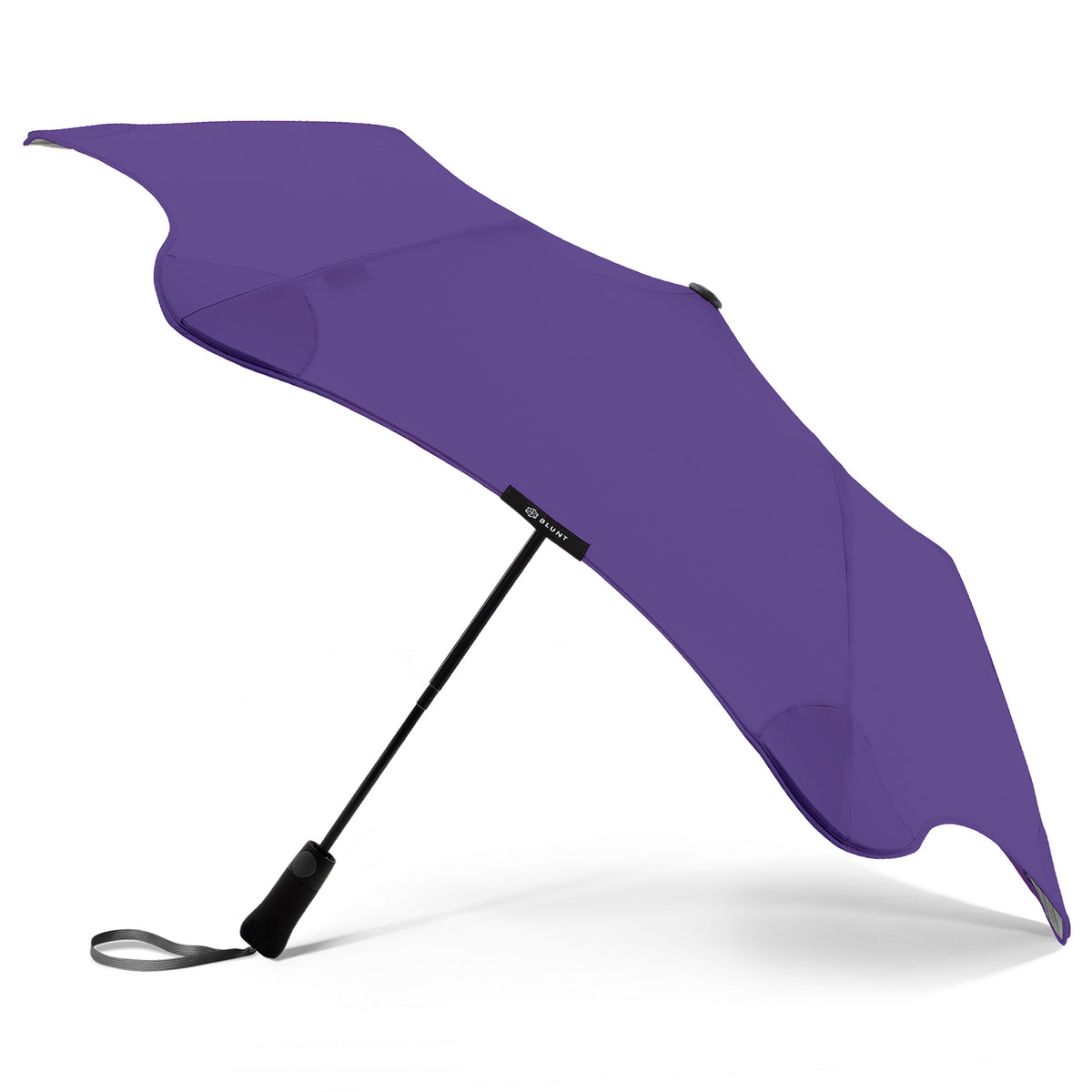Violet Purple