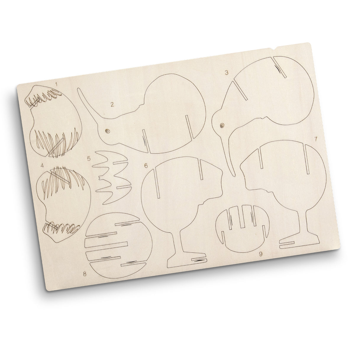 Flat Sheet